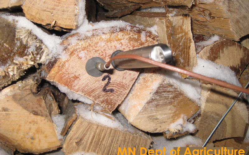 temperature sensor stuck to firewood