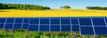 Field of blue solar panels in front of a golden crop field, trees, and blue sky.
